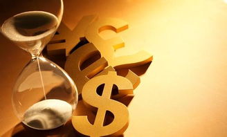 海宁市“一带一路”实业投资突破8亿美元，创历史新高