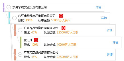 实业投资典范 解析东莞华茂实业投资的战略布局与发展路径